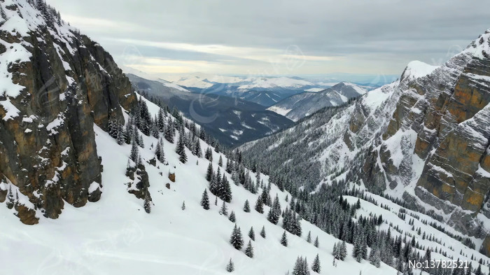 ѩɽɭ�ֶ�����Ȼ���