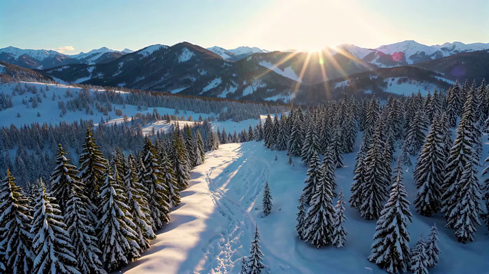 ѩɽɭ�ֶ�������ȫ��