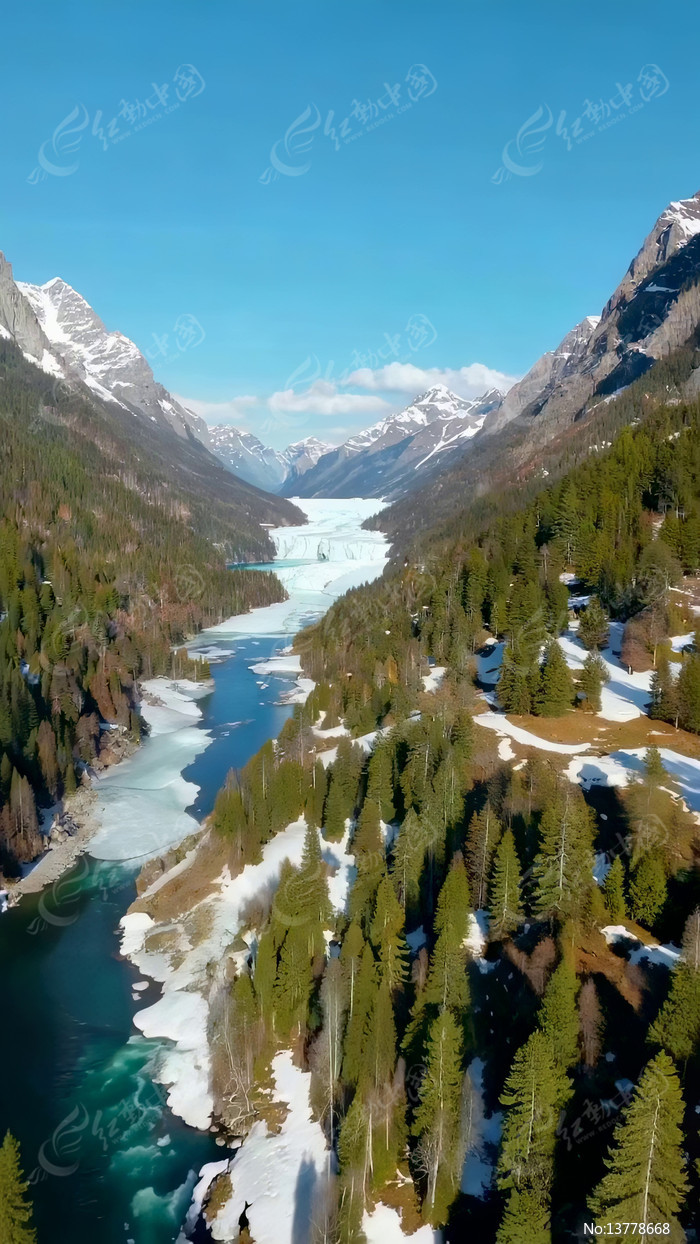 ѩɽɭ�ֺ�������ȫ��