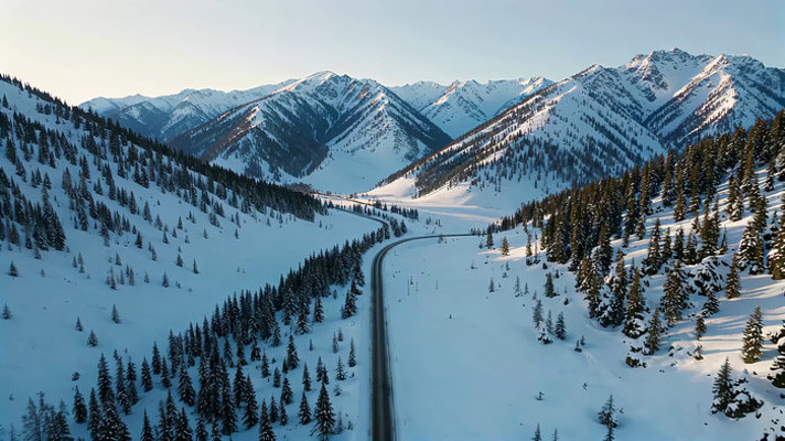 ѩɽɭ�ּ�Ĺ�·����