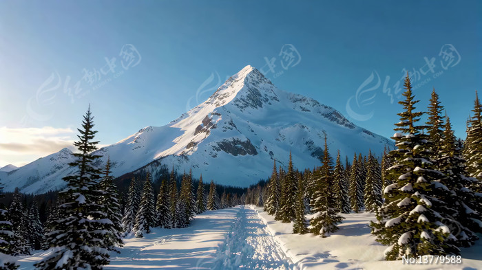 ѩɽɭ��ѩ��ȫ��