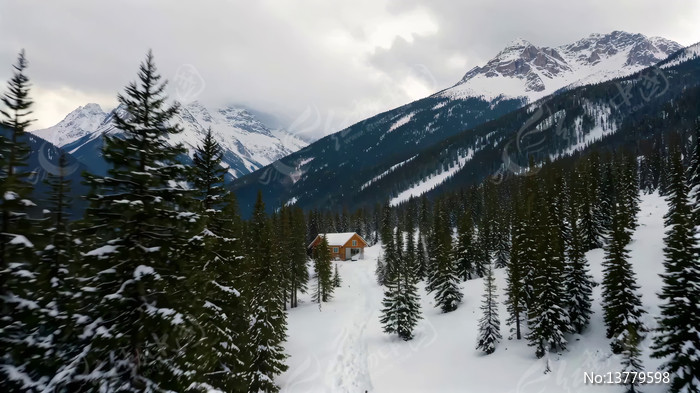 ѩɽɭ���е�ľ��ѩ��