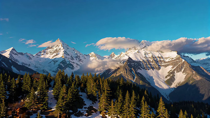 ѩɽɭ����Ȼ���ȫ��