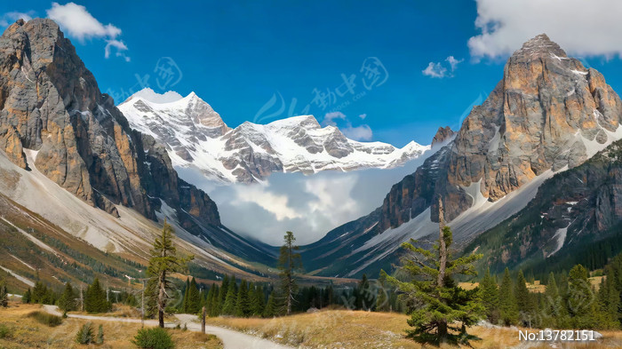 ѩɽɭ����Ȼ���ȫ��