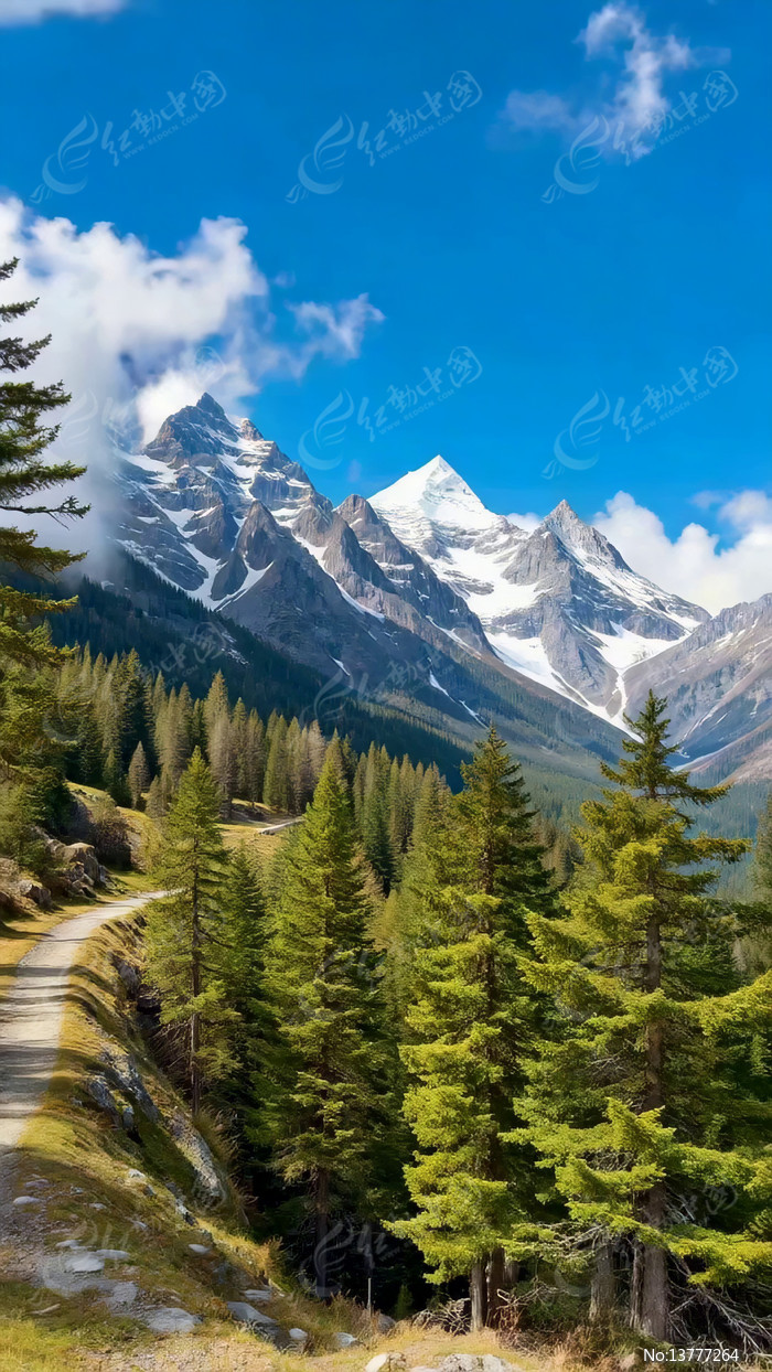 ѩɽɭ����Ȼ����ز�