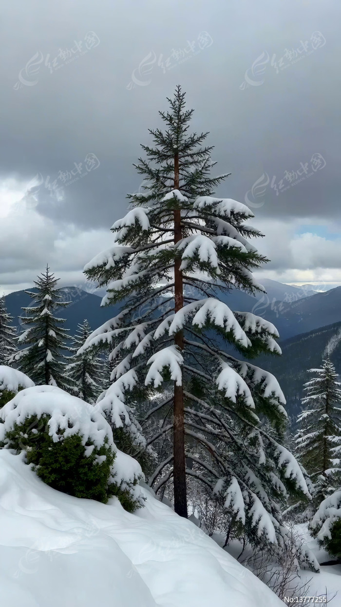 ѩɽ����ѩ��