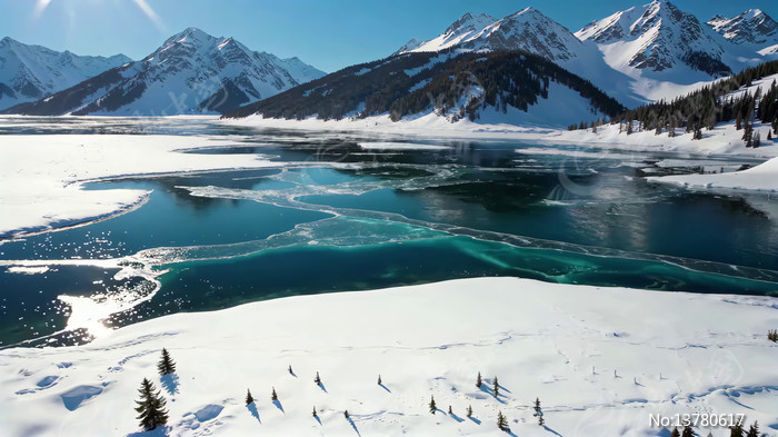 ѩɽ�µı���������