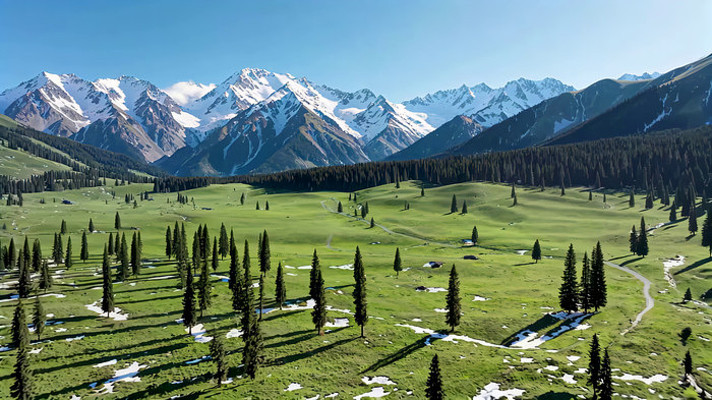 ѩɽ�µĲ�ԭɭ�ַ��