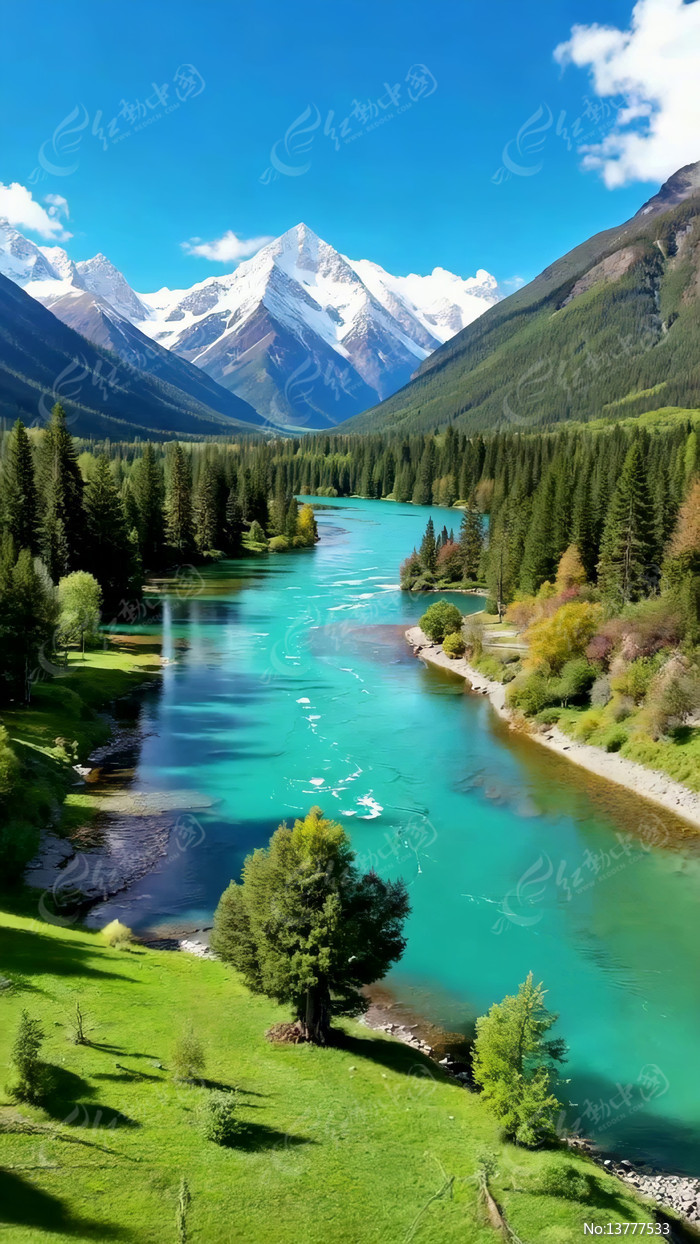 ѩɽ�µĺ���ɭ����Ȼ���