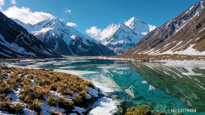 ѩɽ�µ��峺��������