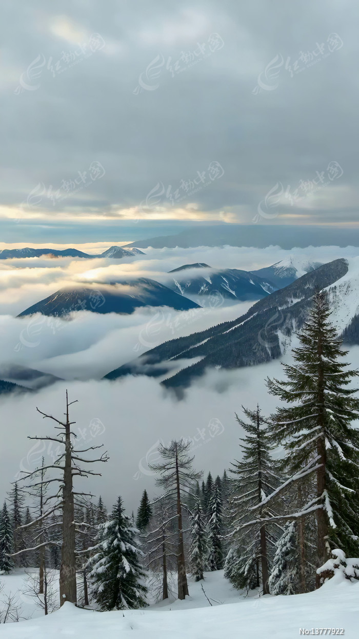 ѩɽ�ƺ�ɭ�ֶ��վ���