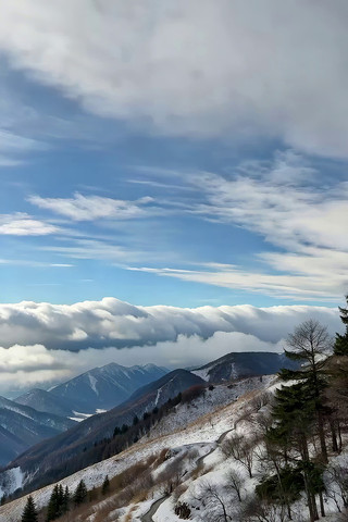 ѩɽ�ƺ�ɽ��С·�羰