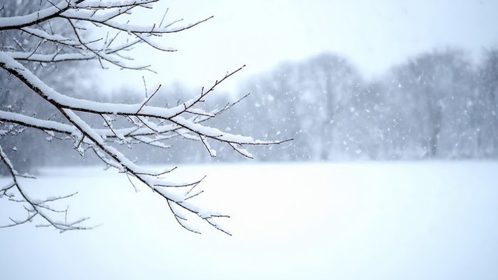 ѩ���ѩ��֦��Զ��ѩ��