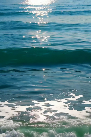 �����²������ԵĴ󺣺���