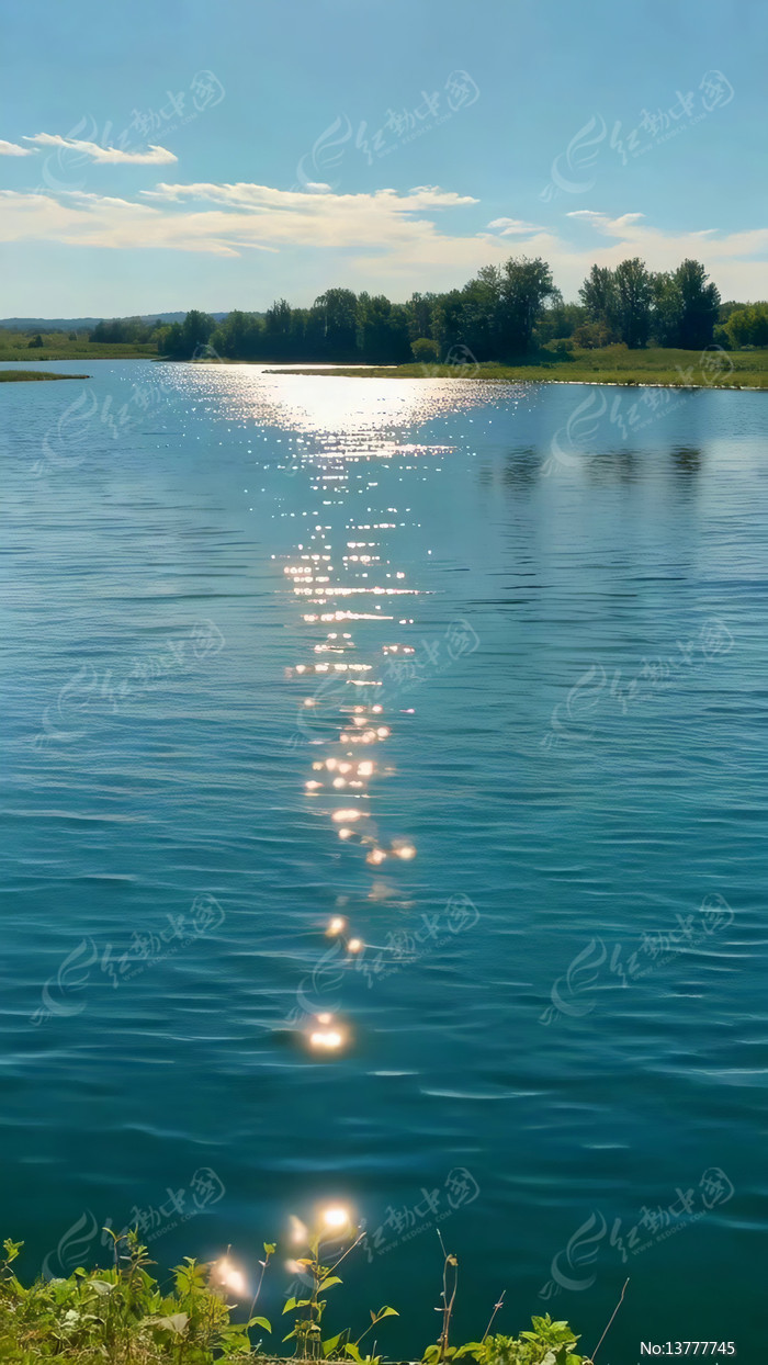 �����²������Եĺ������