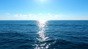 �����µ���ɫ��ȫ��