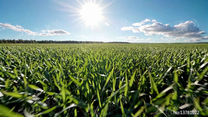 �����µ���ɫ����ȫ��