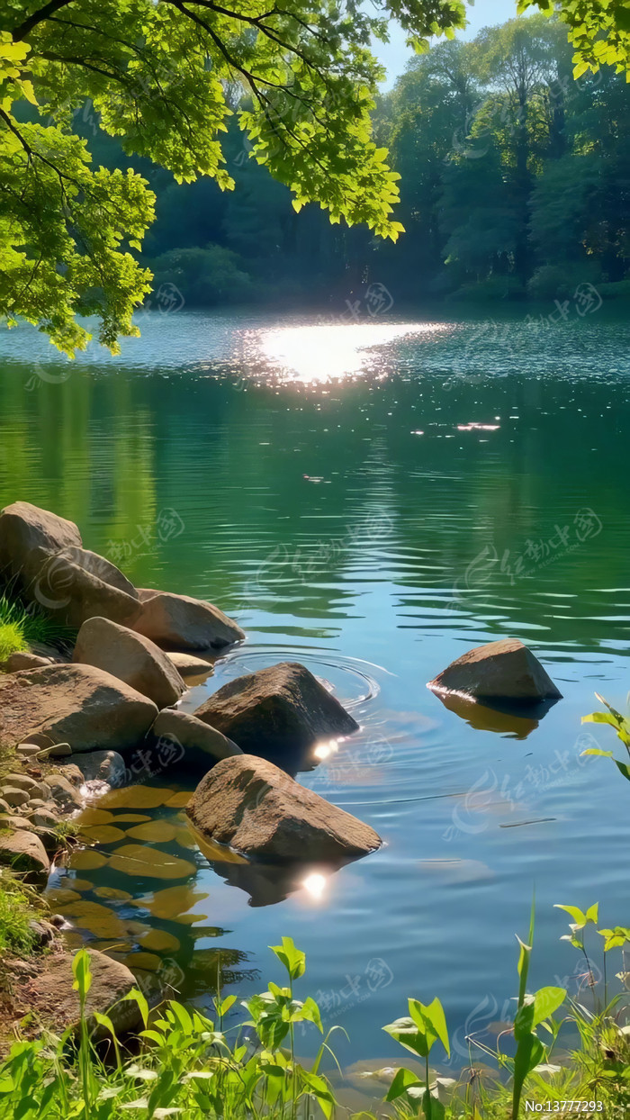 ������ҫ�µĺ�����Ȼ���