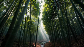 ������ҫ�µ����ַ羰