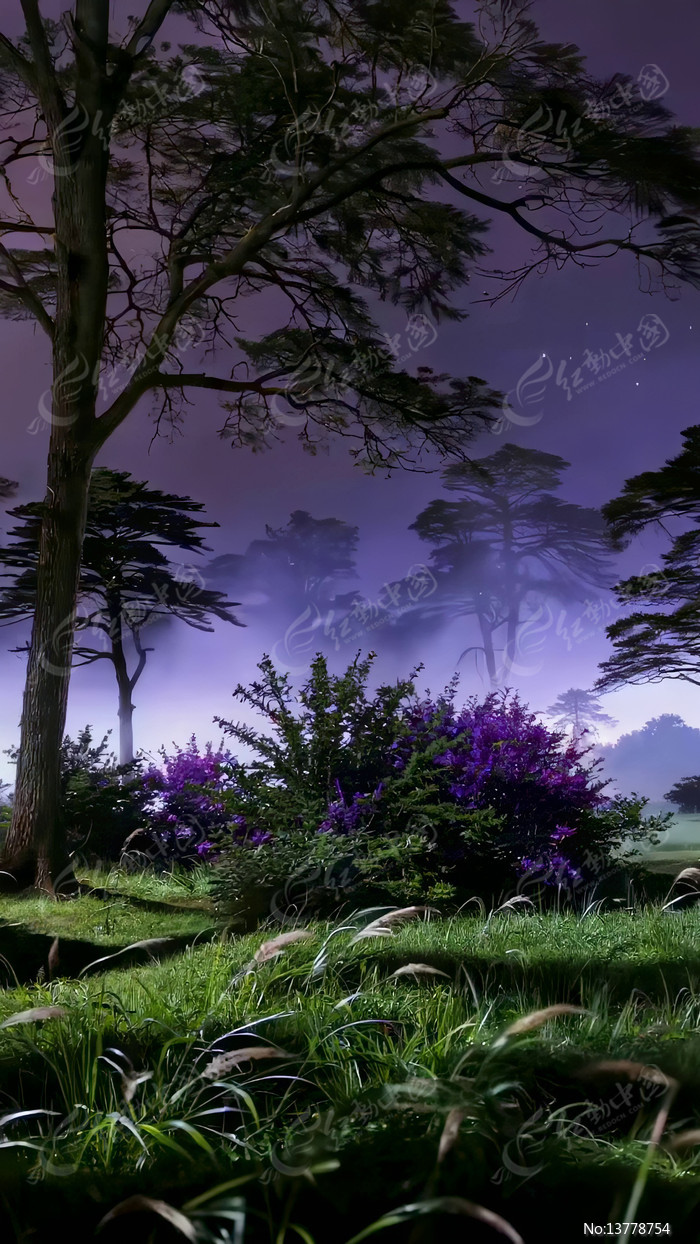 ҹ��ɭ����Ȼ���