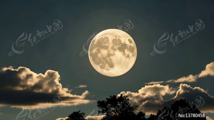 ҹ���������ƶ侰��