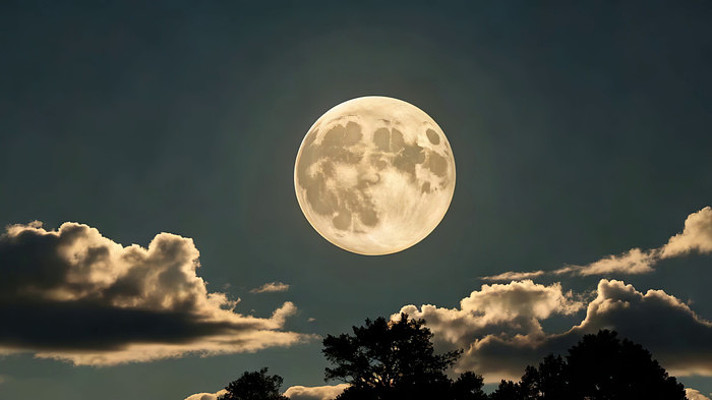 ҹ���������ƶ侰��