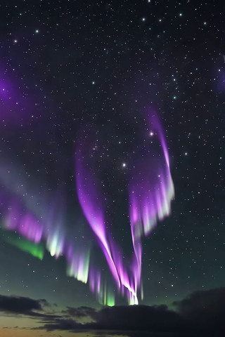 ҹ���µ�Ѥ�ü�������