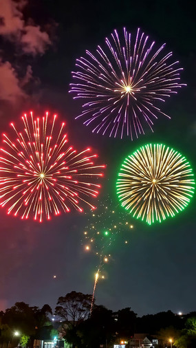 ҹ�������ŵĶ���̻�