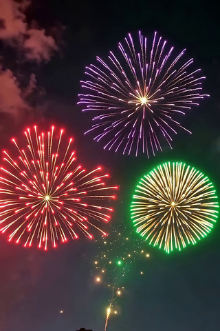 ҹ�������ŵĶ���̻�