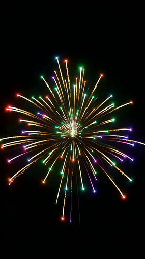 ҹ�������ŵĶ���̻�