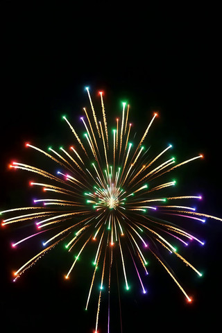 ҹ�������ŵĶ���̻�