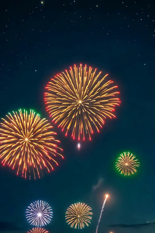 ҹ�������ŵĶ���̻�