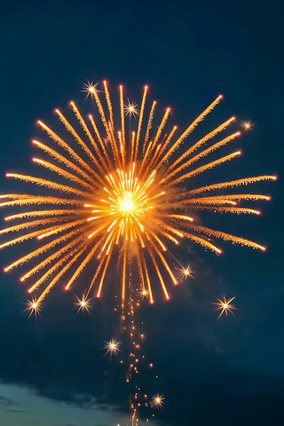 夜空中绽放的绚烂烟花 夜空中绽放的绚烂烟花