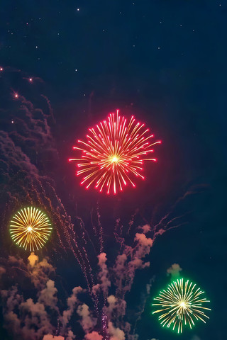 夜空中绽放的绚丽烟花 夜空中绽放的绚丽烟花