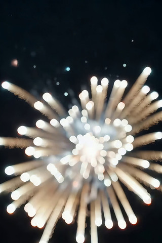 夜空中绽放的绚丽烟花 夜空中绽放的绚丽烟花