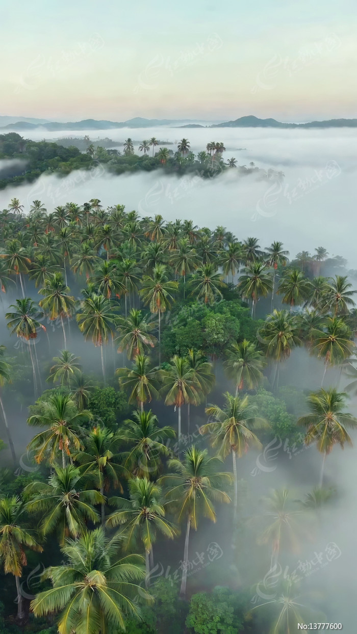 Ҭ���ƺ����ȫ��