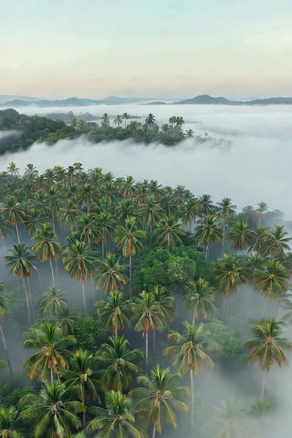 Ҭ���ƺ����ȫ��