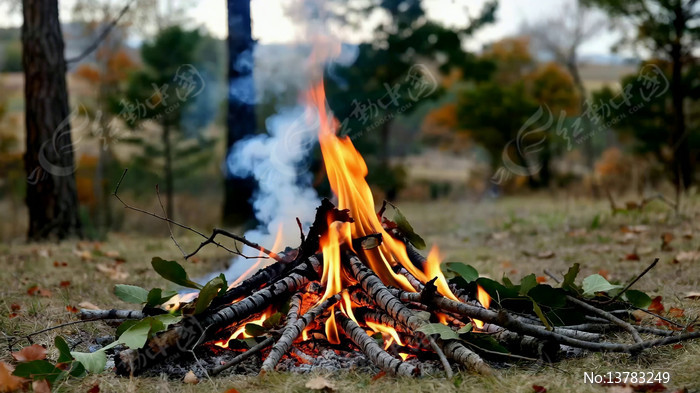 Ұ������ȼ�ճ���