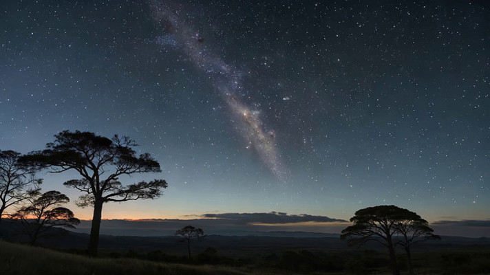 野外星空下的树木夜景素材 野外星空下的树木夜景素材