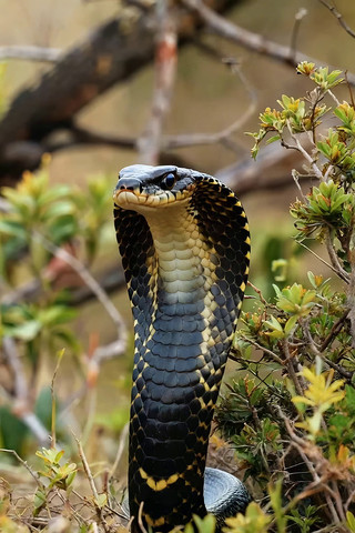 Ұ���۾�����д