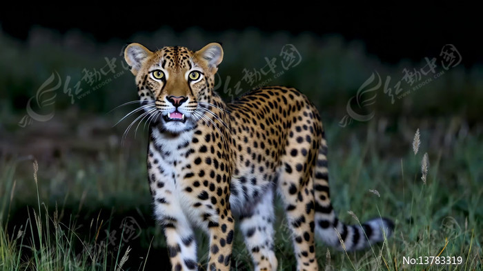 Ұ��վ���ı�����д�ز�