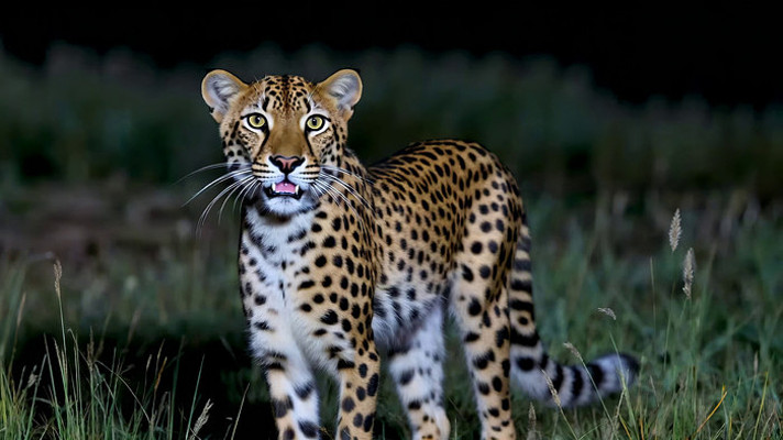 Ұ��վ���ı�����д�ز�