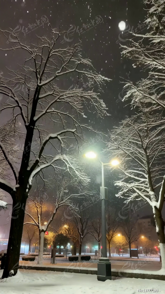 ҹ���ֵ�ѩ��·����ľ