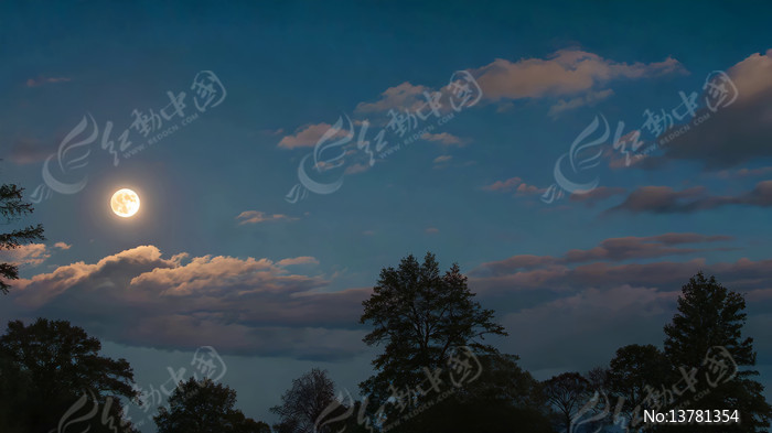 ҹ����������ľ��վ���