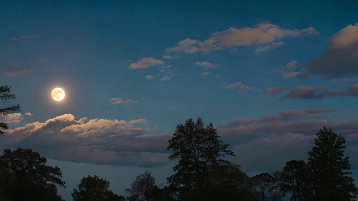 ҹ����������ľ��վ���