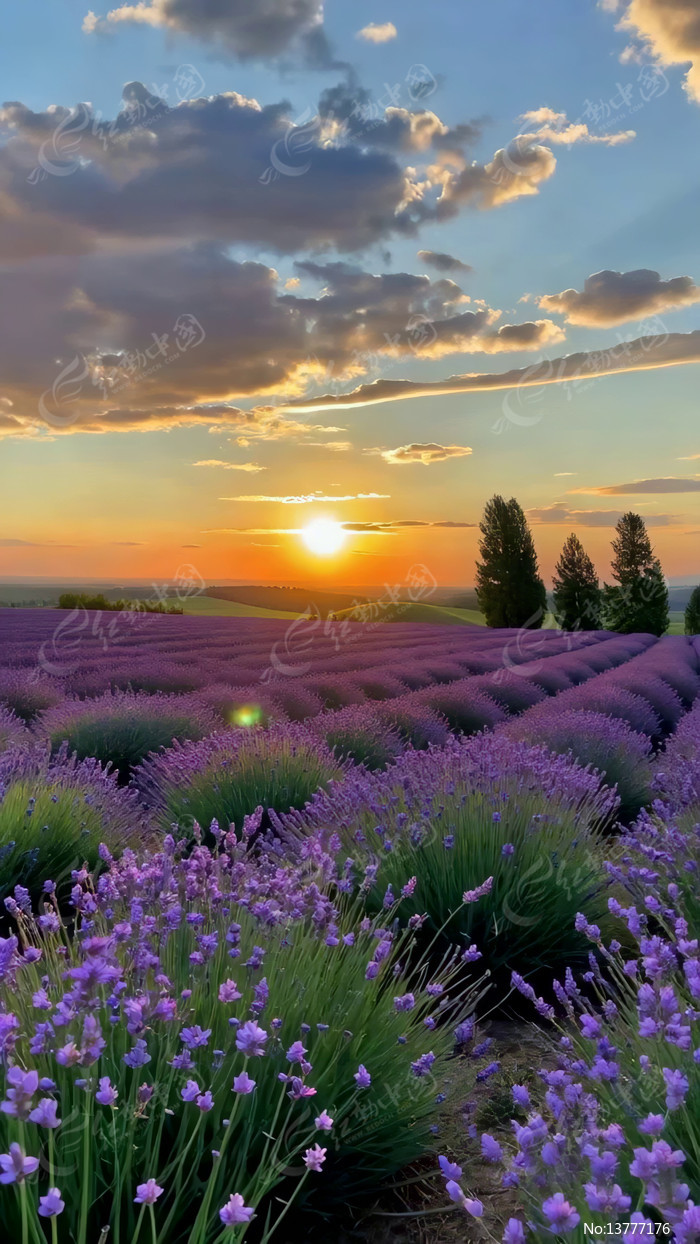 ޹�²���������Ȼ���