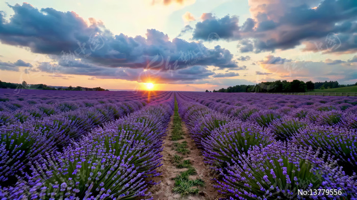 ޹�²���Ϧ��ȫ��