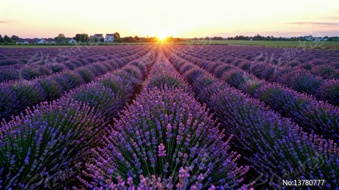 ޹�²���Ϧ��ȫ��