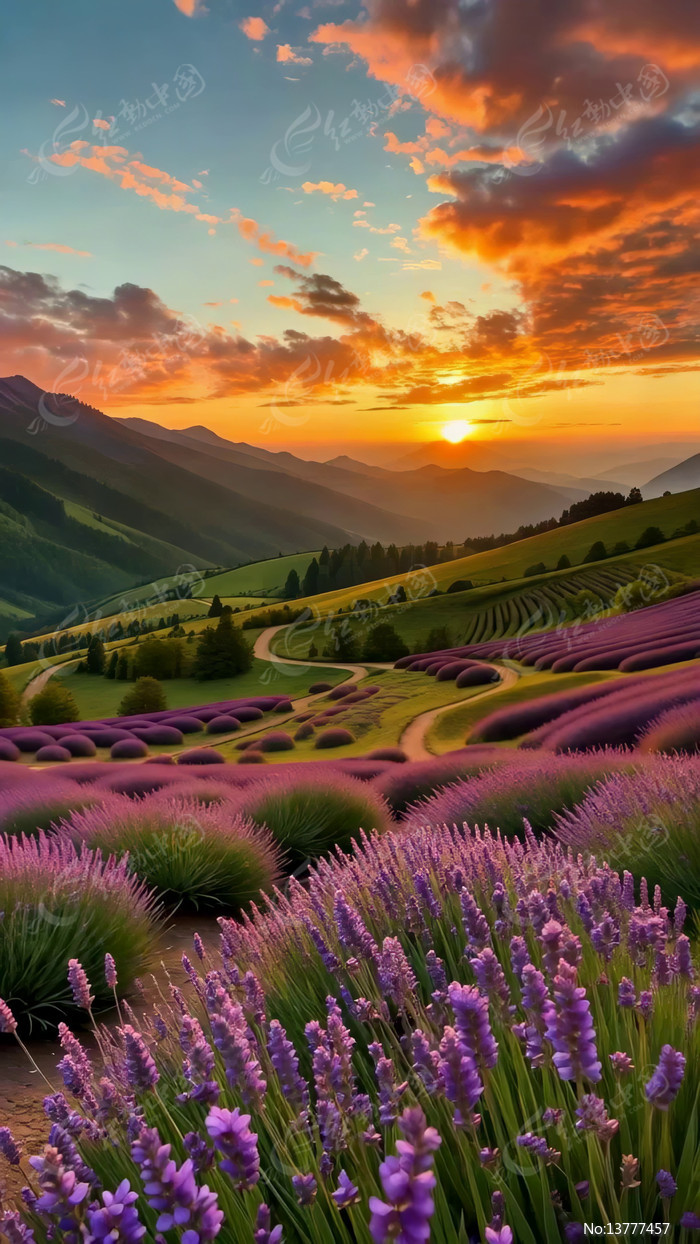 ޹�²���Ϧ����Ȼ���