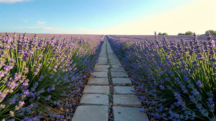 ޹�²����е�ʯ��·�羰